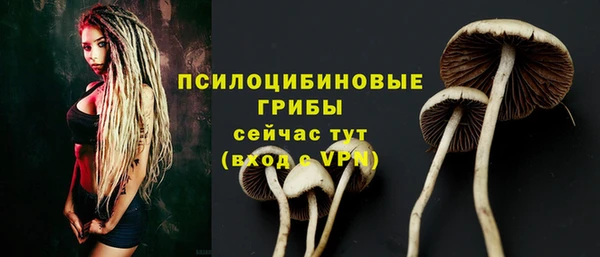 хмурый Бронницы