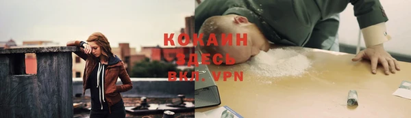 прущая мука Богородск