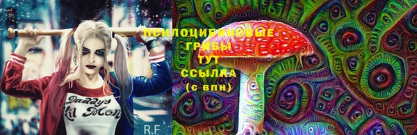 крисы Богданович