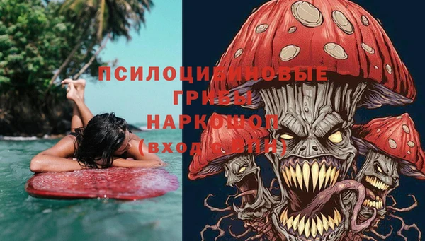 прущая мука Богородск